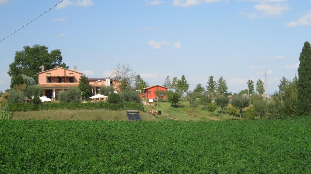 Agriturismo Consalvi Valentina Marsciano Ngoại thất bức ảnh